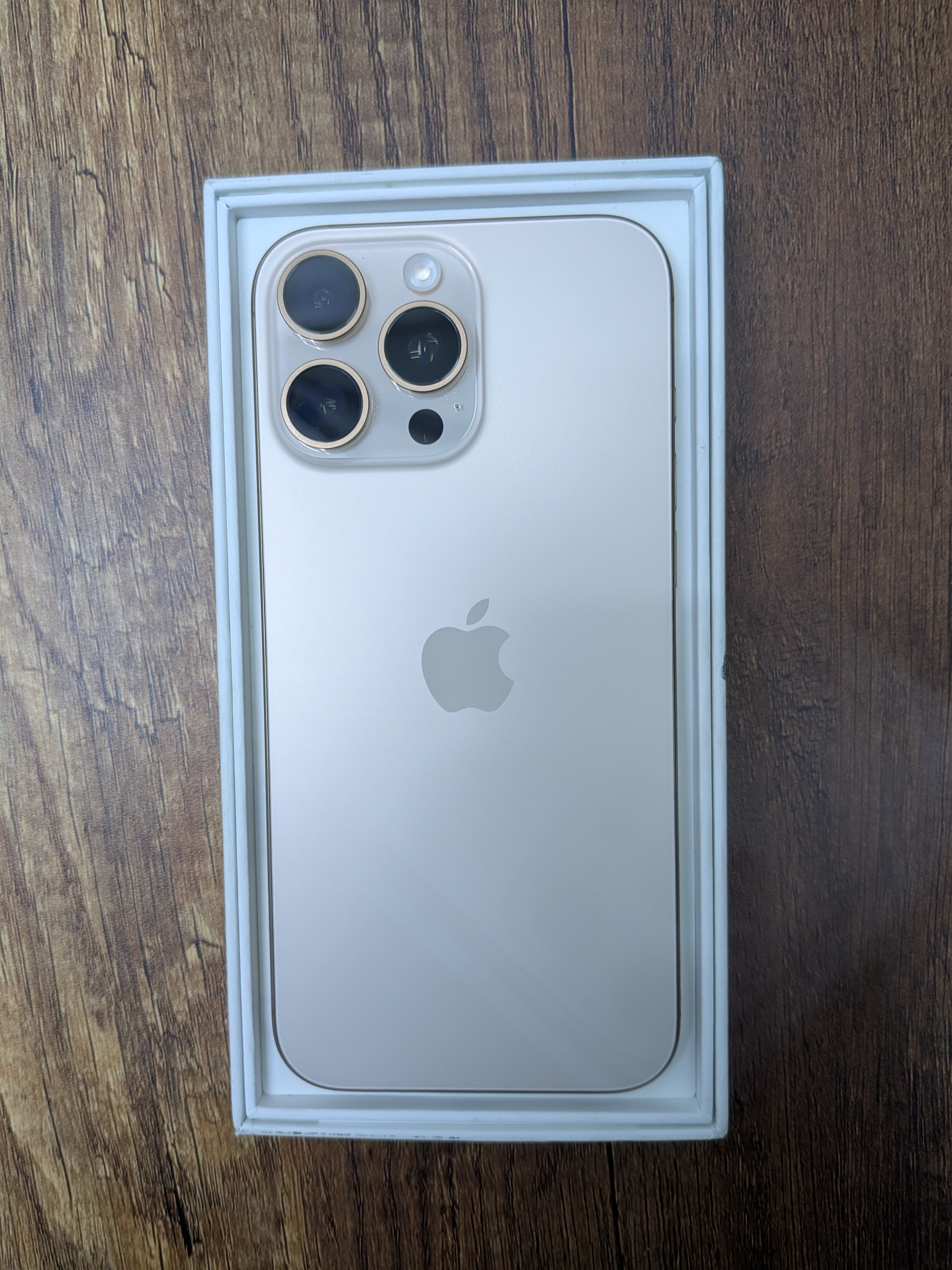 iPhone 16 Pro Max 256 GB Chip